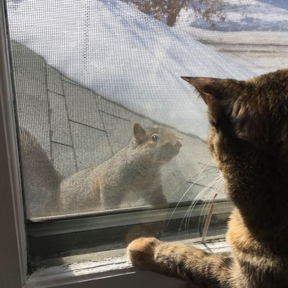 Meet your Posher, Beth - Picture 1 of 1